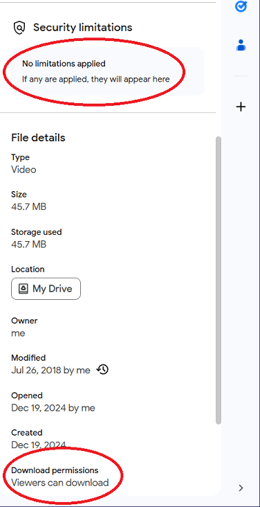 Details for a file allowed to download from Google Drive