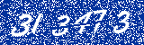 Capcha image